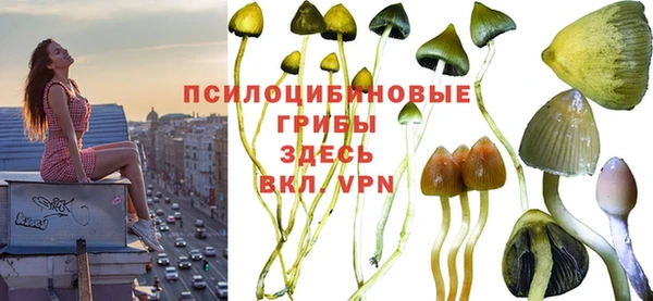 мяу мяу мука Алексеевка