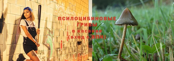дурь Абаза