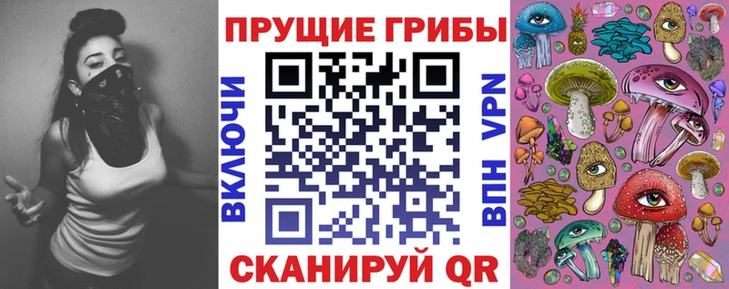 где найти наркотики  Павловский Посад  Галлюциногенные грибы MAGIC MUSHROOMS 
