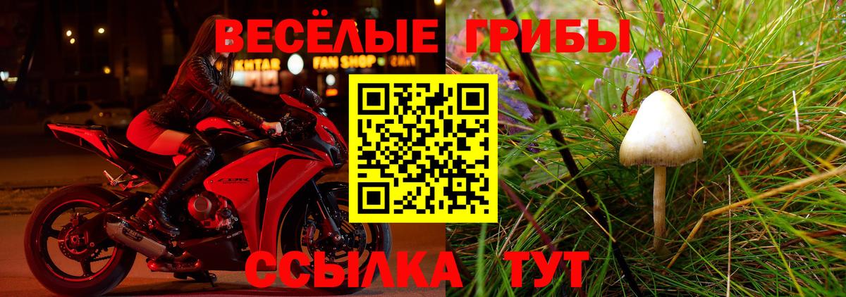 Павловский Посад  Галлюциногенные грибы Psilocybe  Вход с VPN 